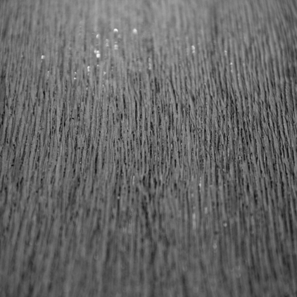 Povrsinska struktura FN